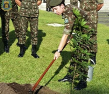 Foto de campo 1